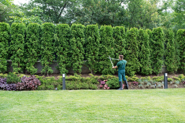 Lawn Irrigation Installation and Maintenance in East Syracuse, NY